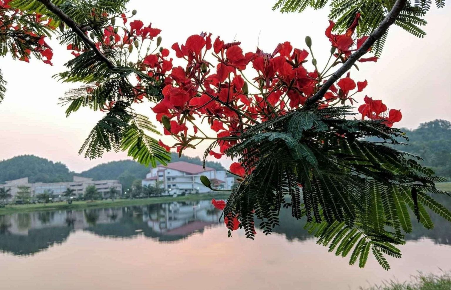 Guwahati, Assam, India