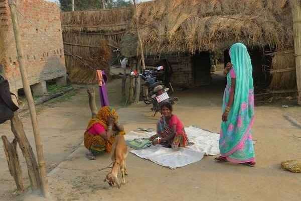 Dudhwa Tiger Reserve