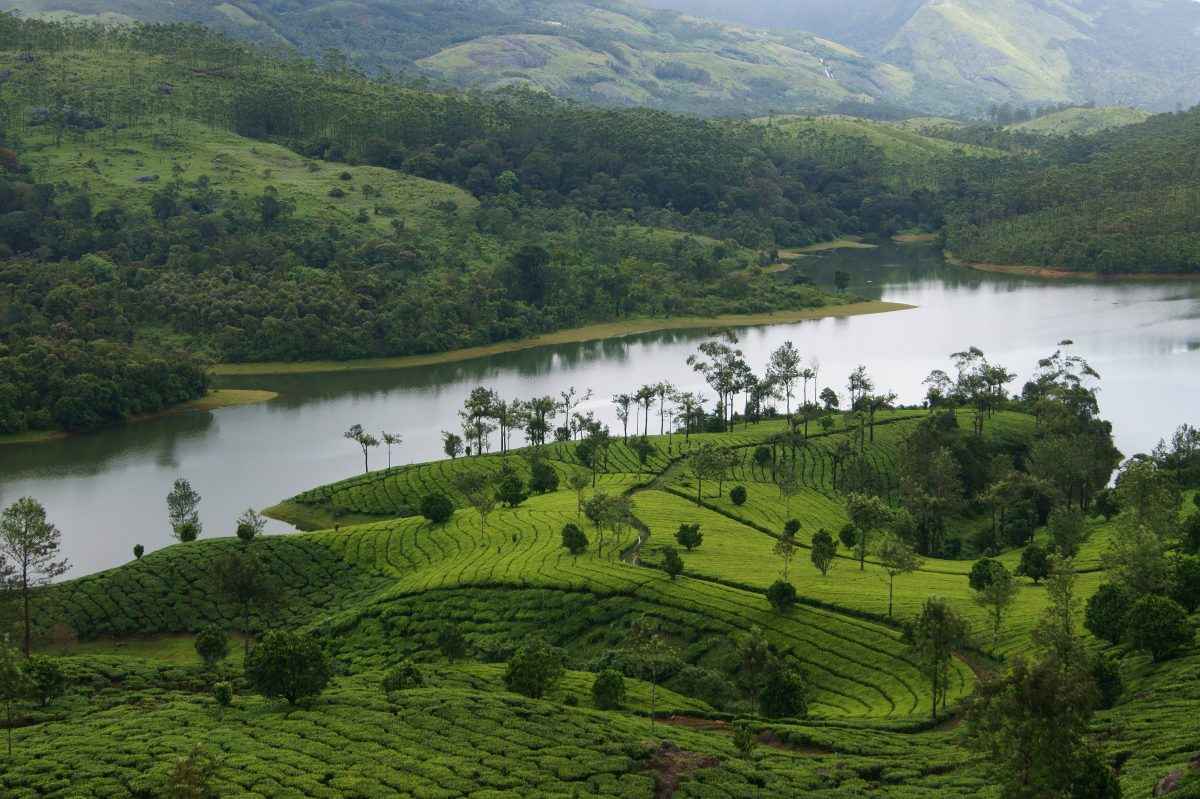 munnar
