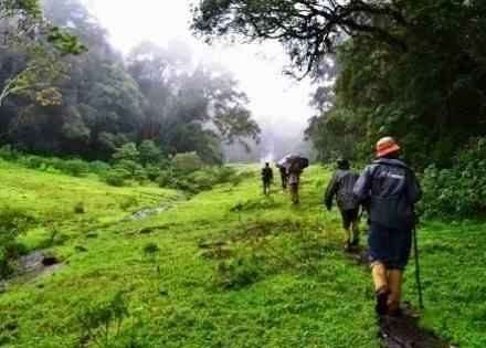 thekkady
