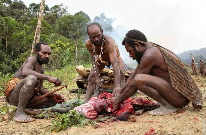 Tribes Papua