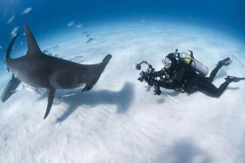 Lombok Snorkeling and diving