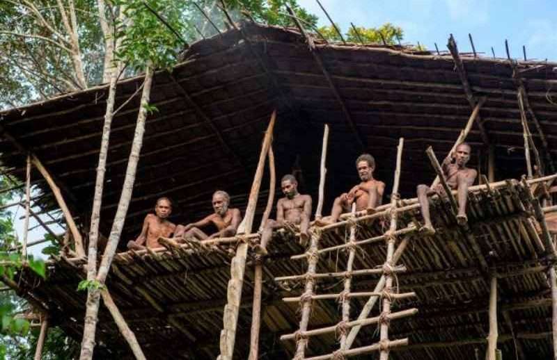 Tribes Papua