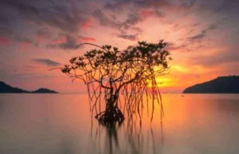 Sumatra Beaches and Islands