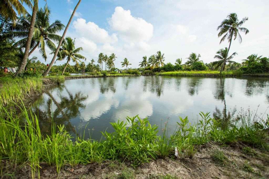 Kayal Island Retreat