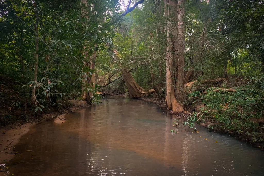 Wild Glamping Gal Oya