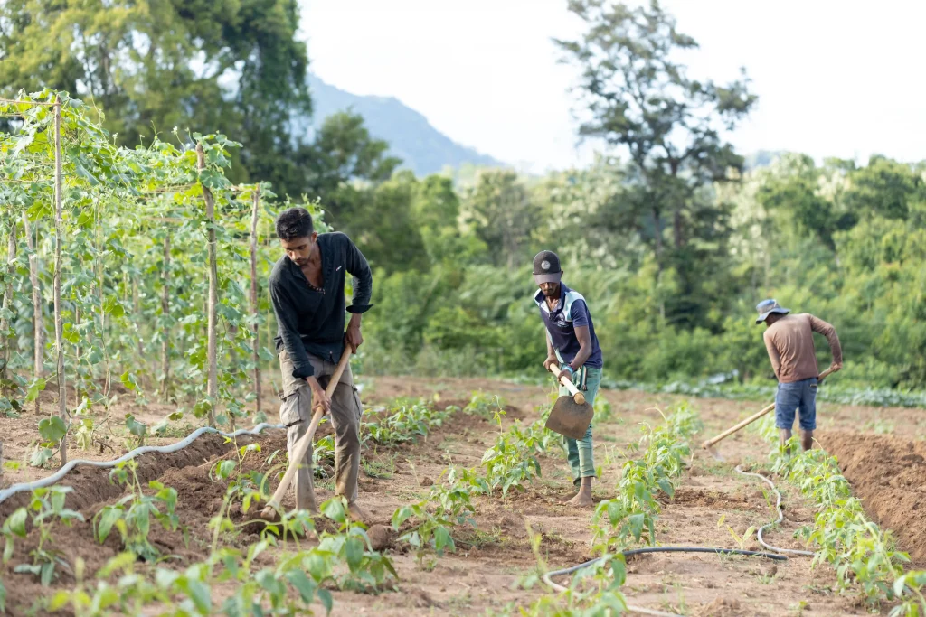 Wild Glamping Gal Oya