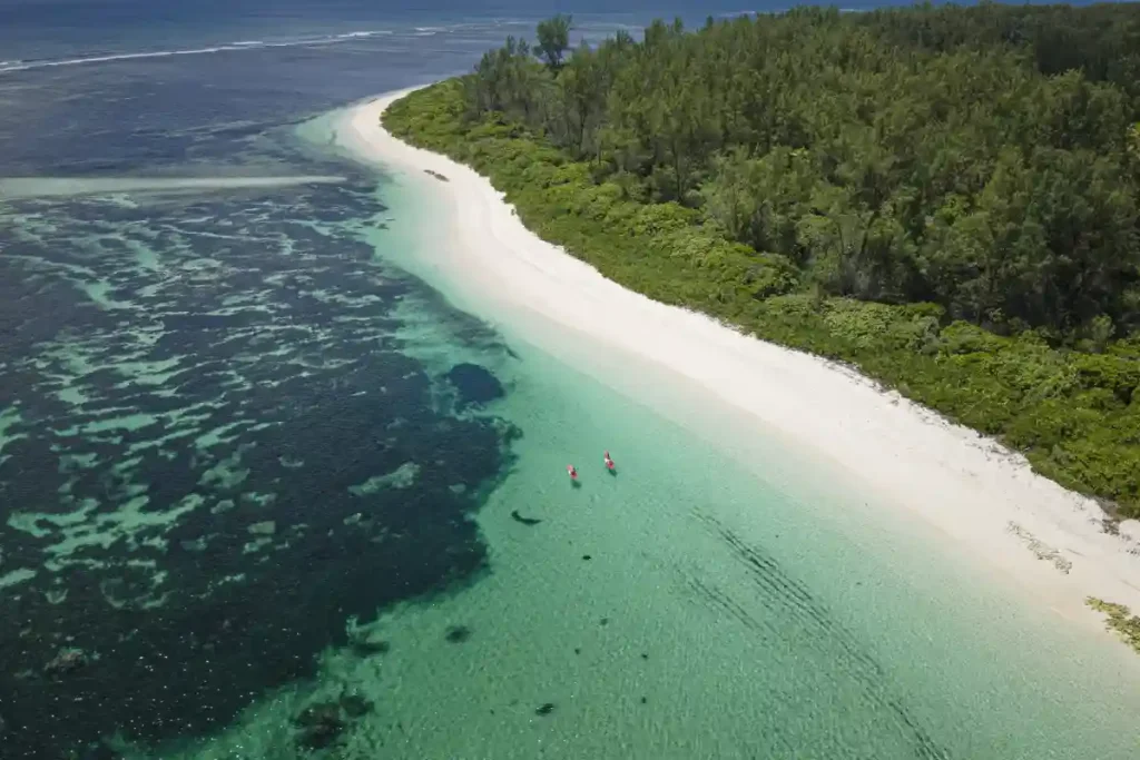 Four Seasons - Des Roches