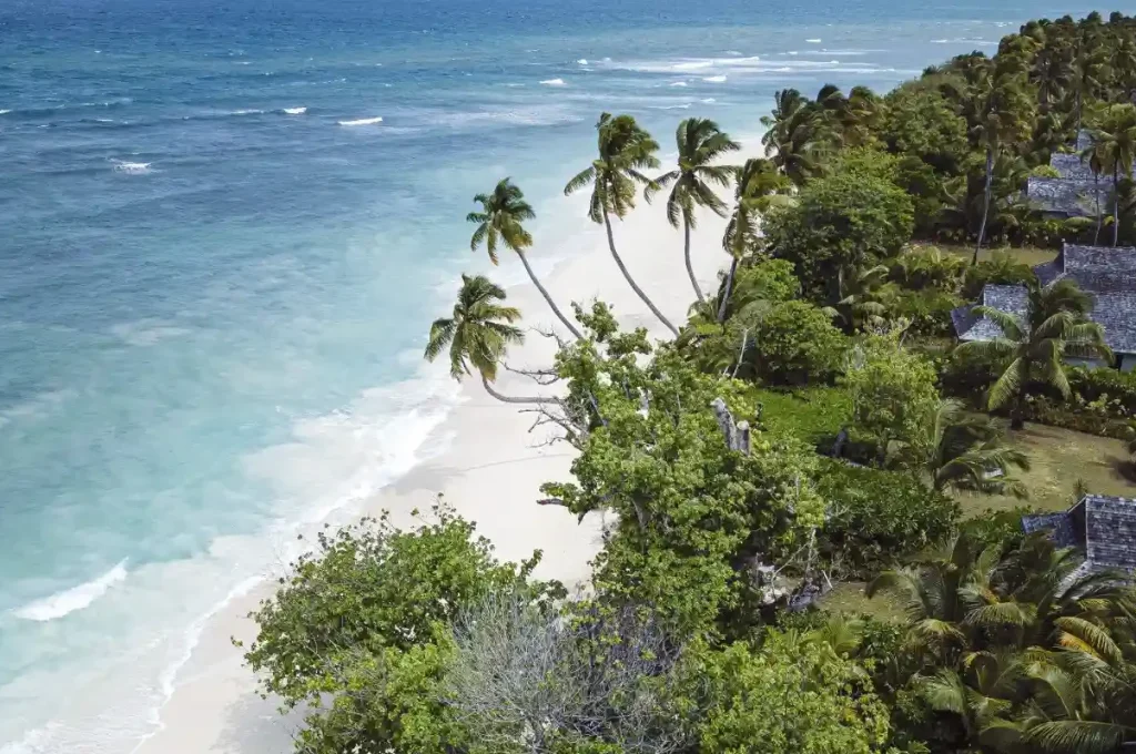 Four Seasons - Des Roches