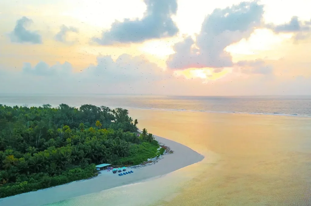 Alphonse Island by Blue Safari