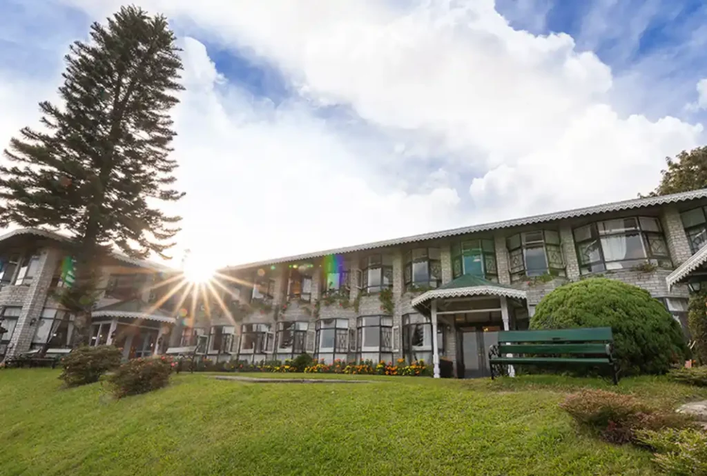 The Elgin Silver Oak