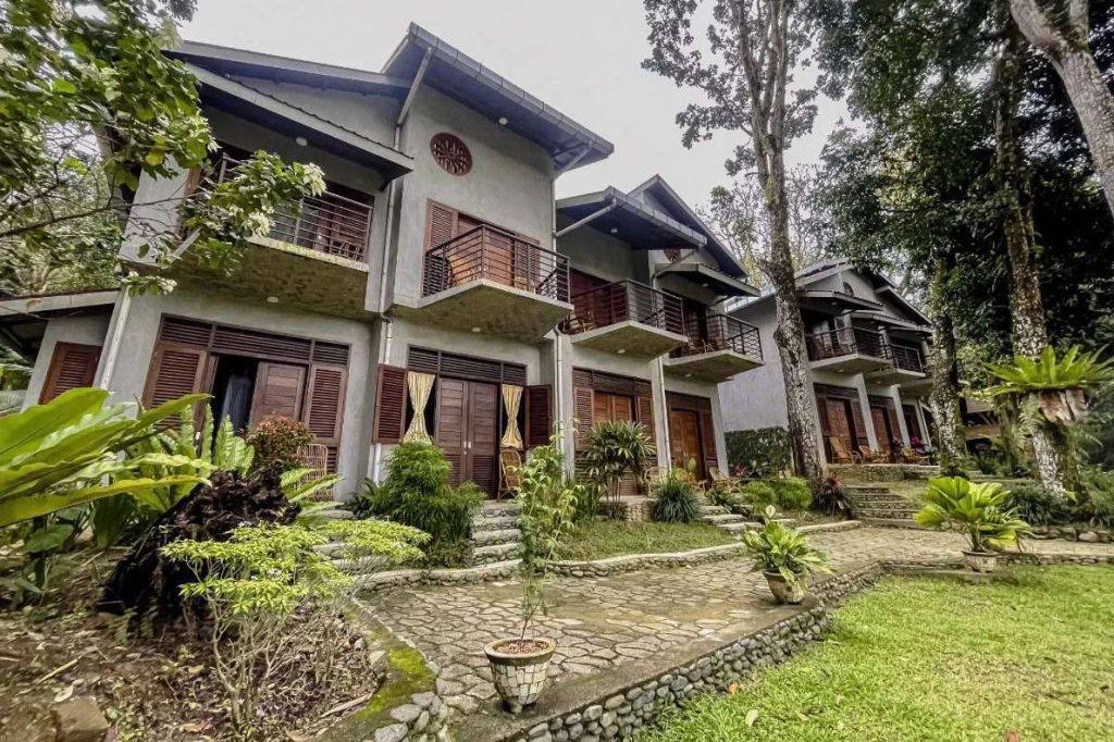 Ecolodge Bukit Lawang