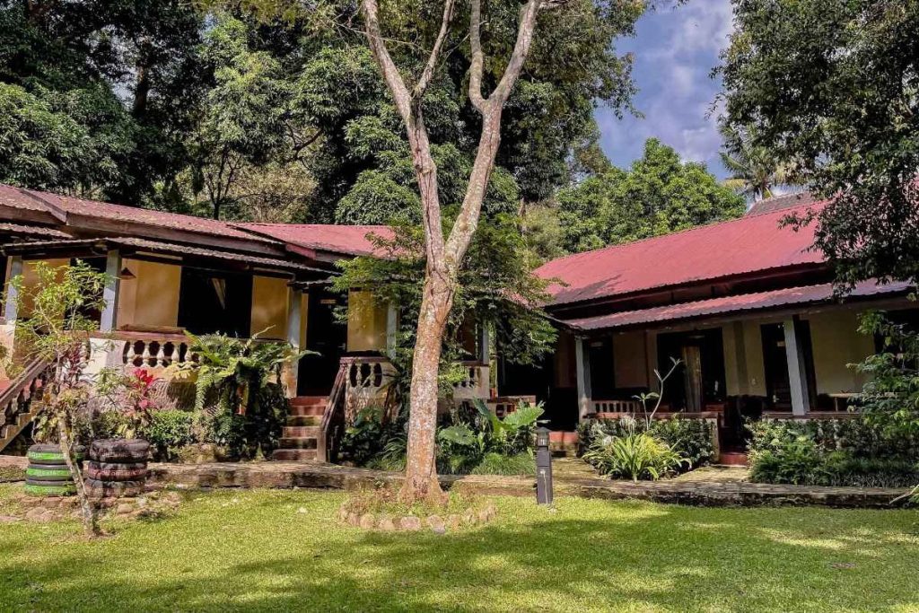 Ecolodge Bukit Lawang