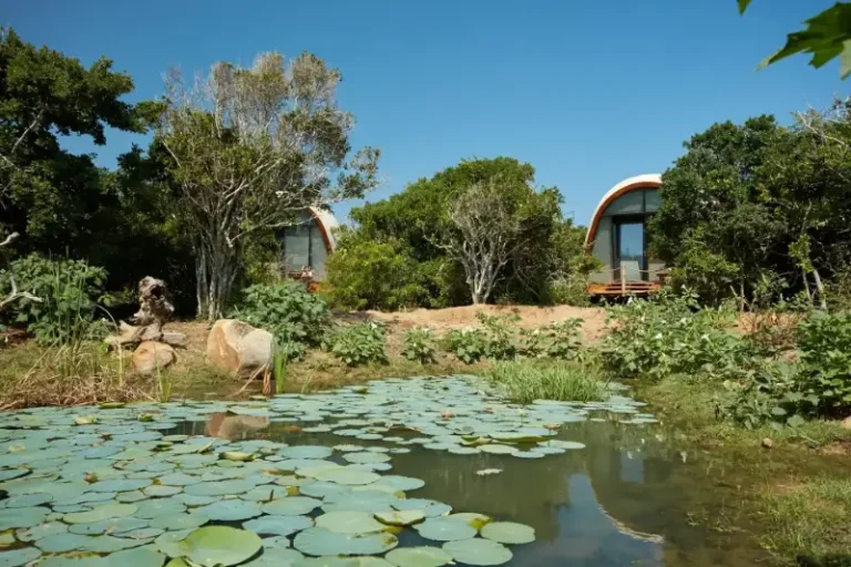 Wild Coast Tented Lodge