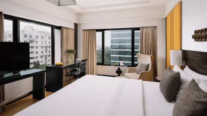 Deluxe Room - The Raintree St. Mary's Road - Chennai