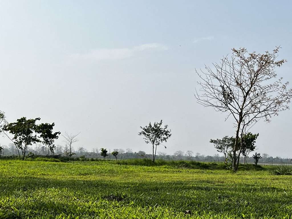 Tailor-made holidays Tours Luxury bespoke vacations