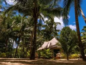 Canvas and Orchids Retreat family tent exterior
