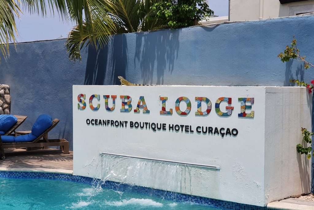 Scuba Lodge - swimming pool