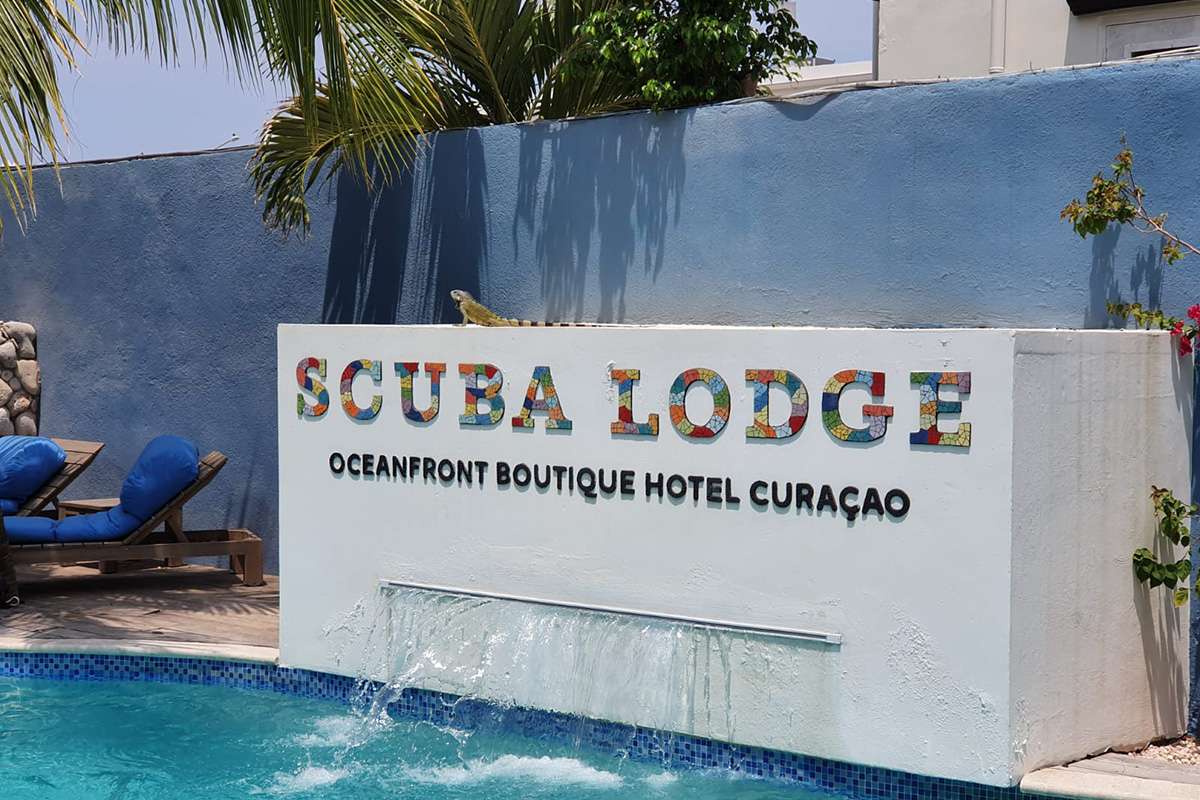 Scuba Lodge - swimming pool